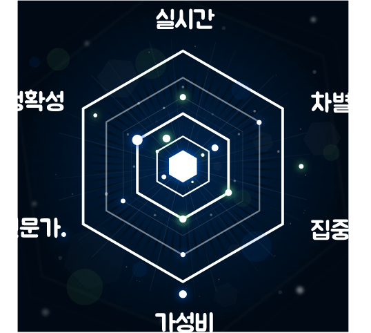 실시간, 차별성, 집중, 가성비, 전문가, 정확성